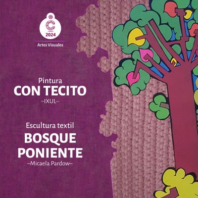 TERCERA_EXPO_AAVV_GENERAL_