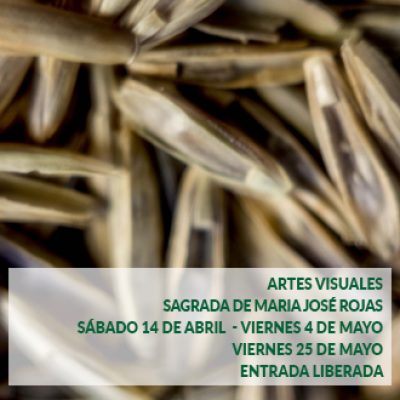 PLANTILLA_FOTOS_ACTIVIDADESmj