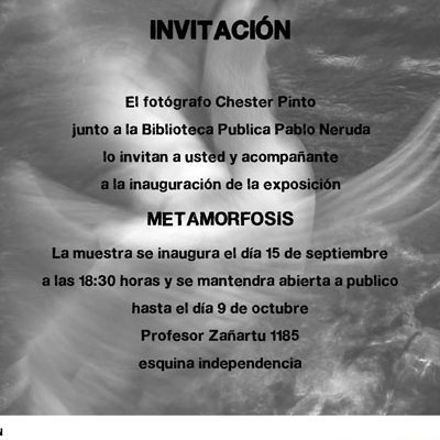 art-Metamorfosis-e1484884729732